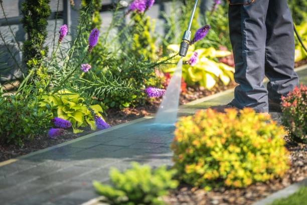 Best Post-Construction Pressure Washing  in Williamstown, PA