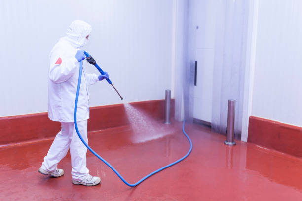 Best Patio and Deck Pressure Washing  in Williamstown, PA