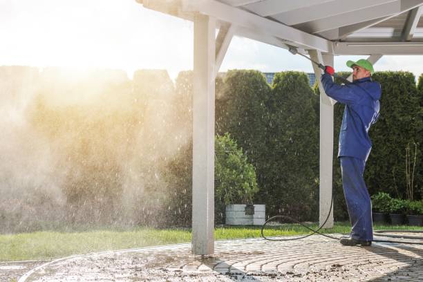 Best Graffiti Removal  in Williamstown, PA
